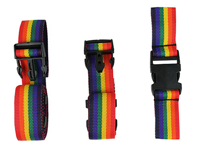 Replacement Harness Set – Small Skillbuilders Full Support Swing Seat