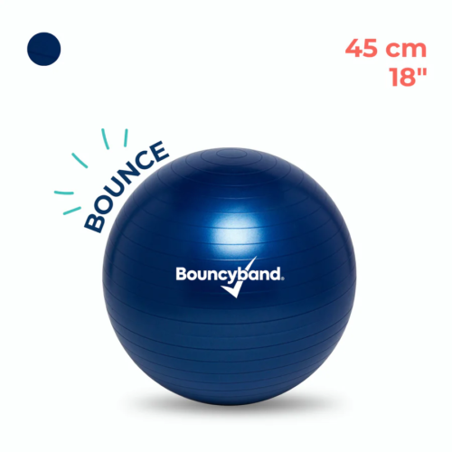 Balance Ball Chair 45cm Non-Rolling for Elementary Kids