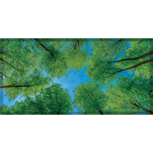 Forest Calming Covers Ceiling Light Filters
