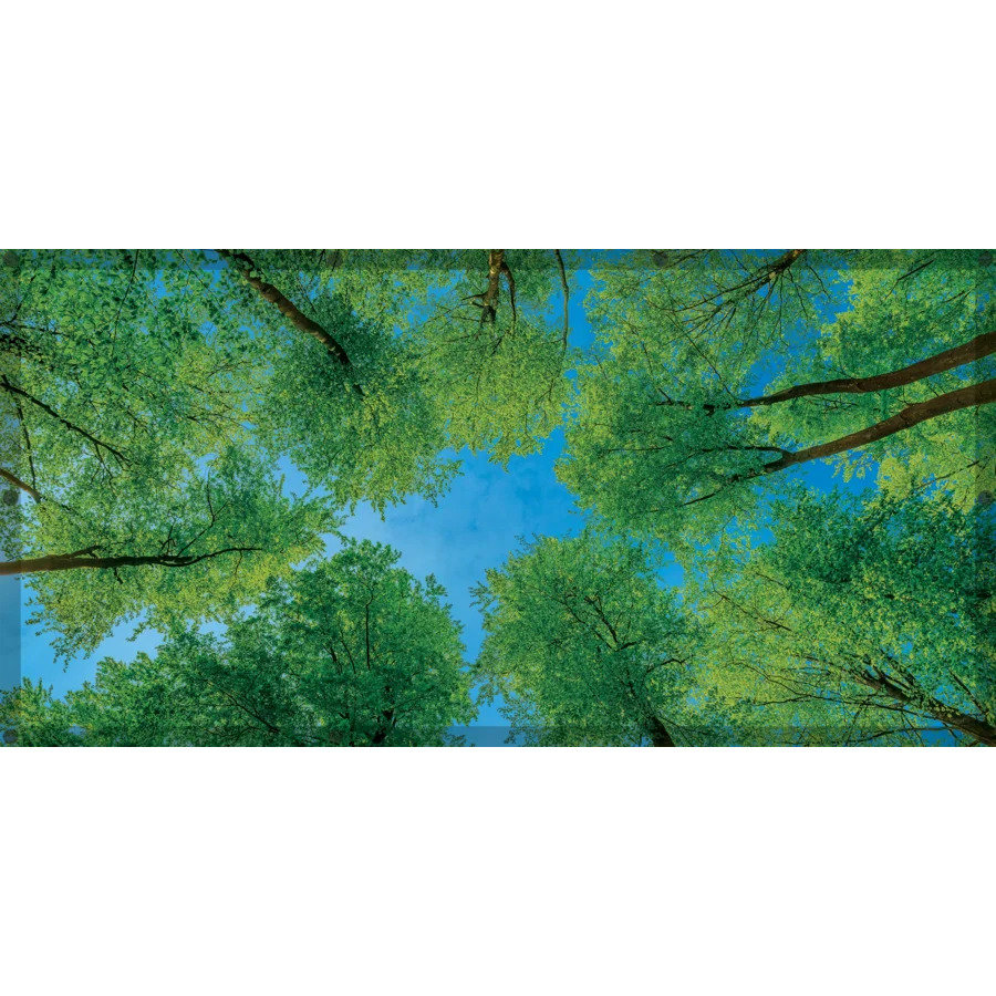 Forest Calming Covers Ceiling Light Filters