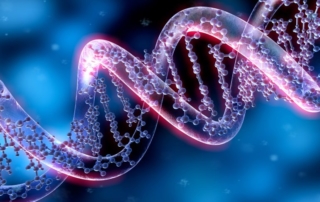 New Genetic Causes of Autism