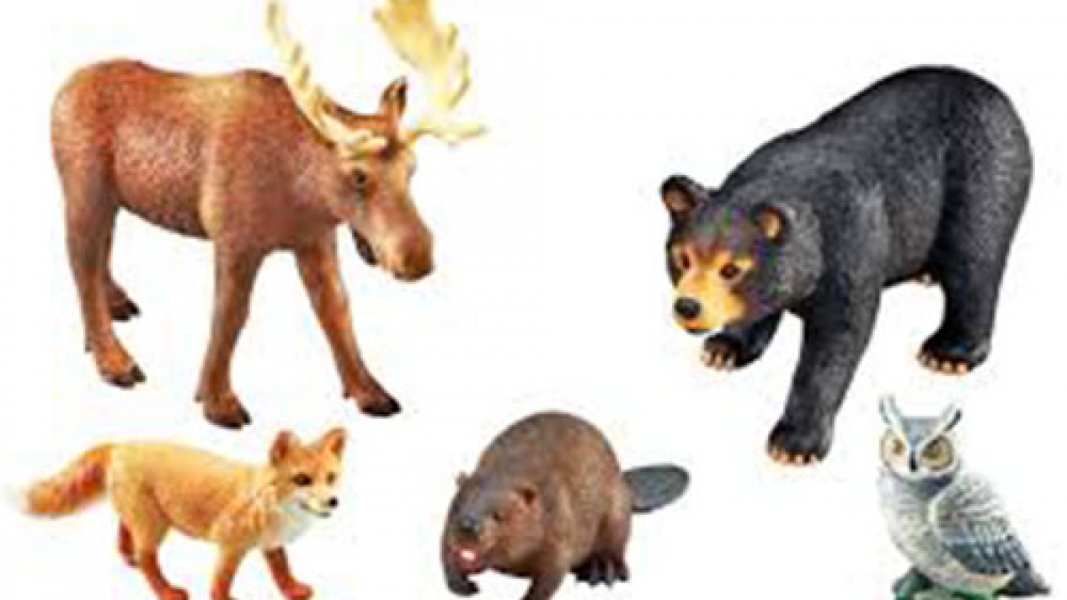 Learning-Resources-Assorted-