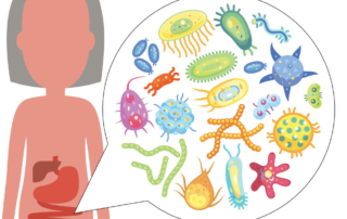 Linked Gut Microbiome to Autism Spectrum Disorder