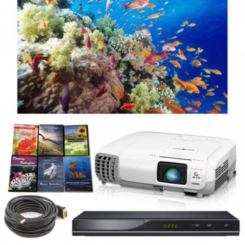 Living Scenery Projector Bundle