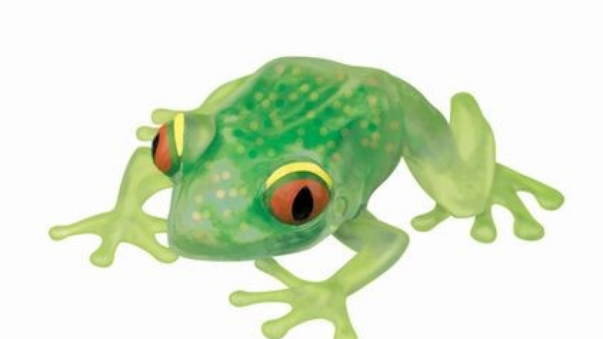 Ooey Gooey Frog Fidget Toy