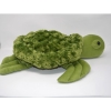 Sid the Heavy Turtle