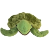 Sid the Sensory Turtle