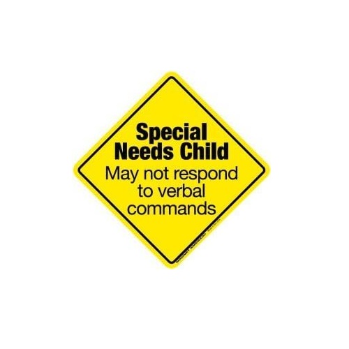 Special Needs Child Awareness Sticker