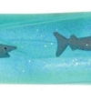 Water Wiggles Sharks