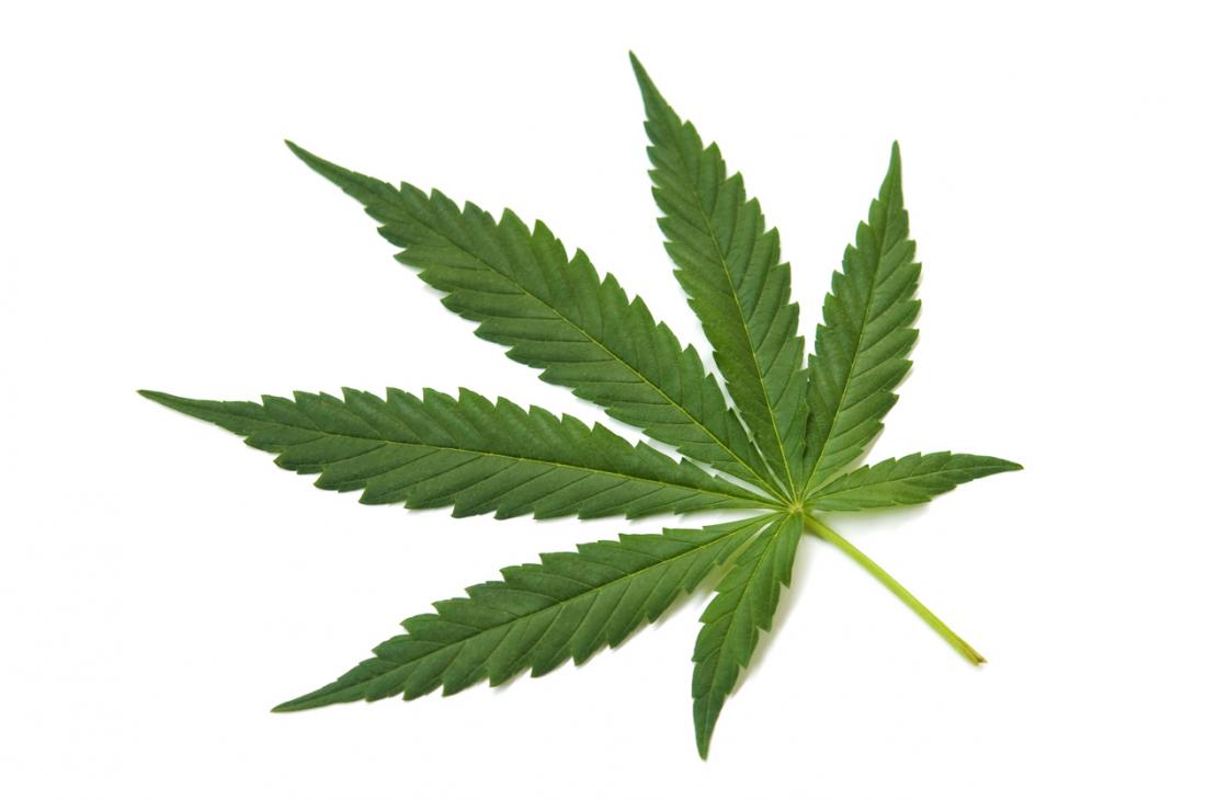 marijuana and autism