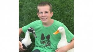 autism therapy ducks