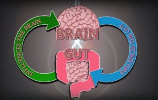 brain gut connections