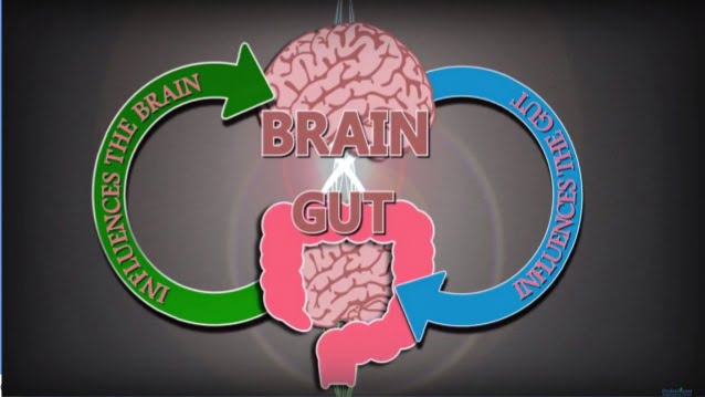 brain gut connections