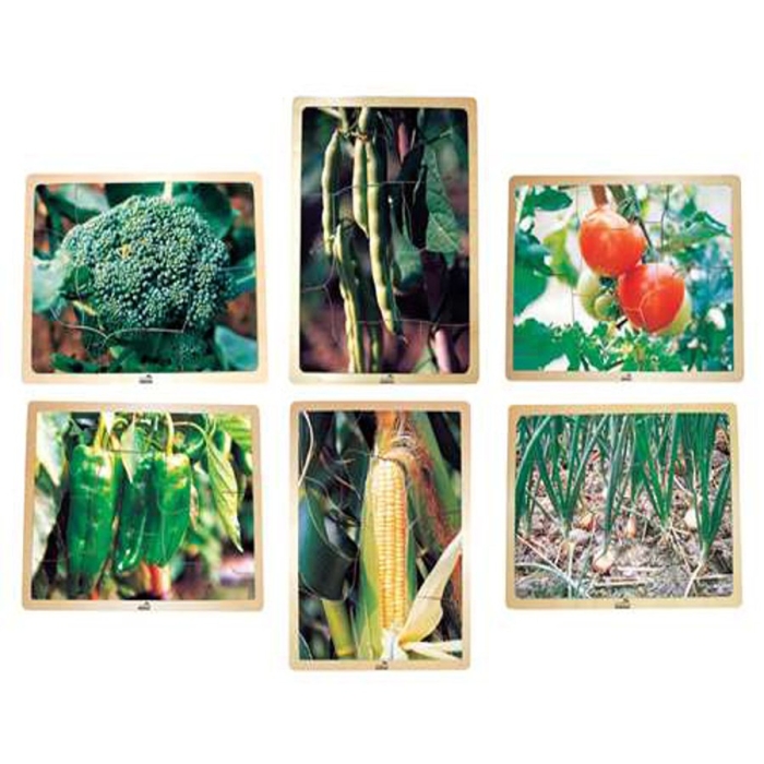 School Specialty Vegetable Puzzle Set