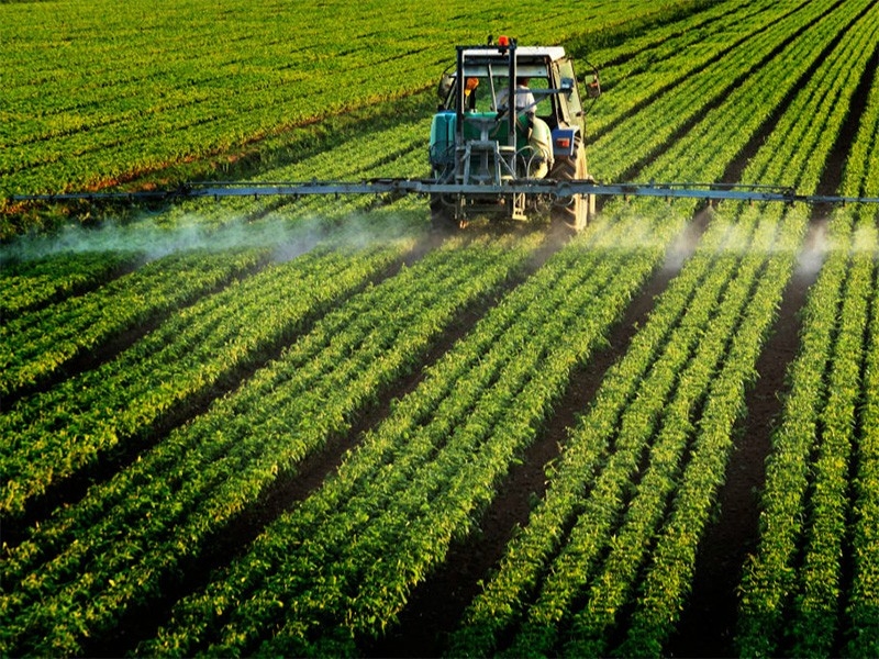 Pesticides Could Be Linked To Autism