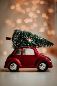 10 Holiday Tips
